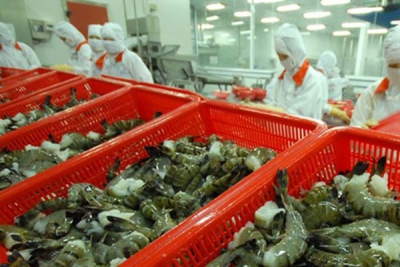 Xuất khẩu thủy sản 5 tháng đầu năm 2021