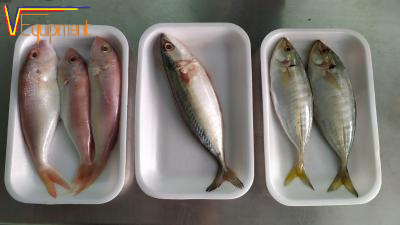 MÀNG HÚT SÁT DA SKINPACK